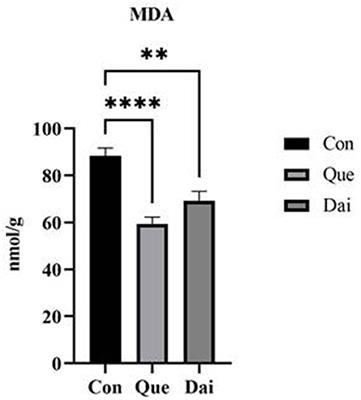 Effects of quercetin and daidzein on egg quality, lipid metabolism, and cecal short-chain fatty acids in layers